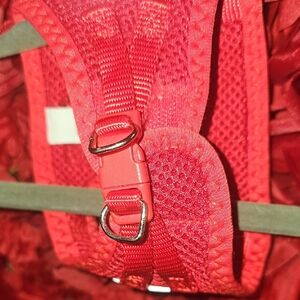Small Red Pet Harness Size XXXS